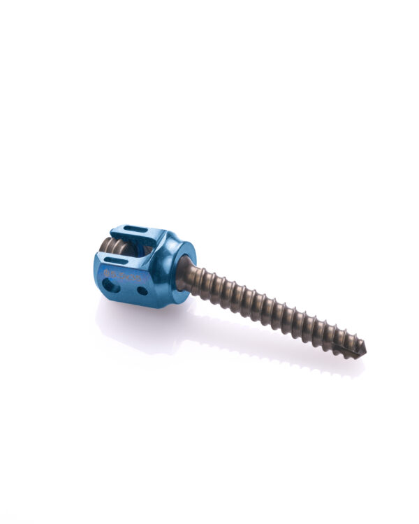 Poly Axile Screw