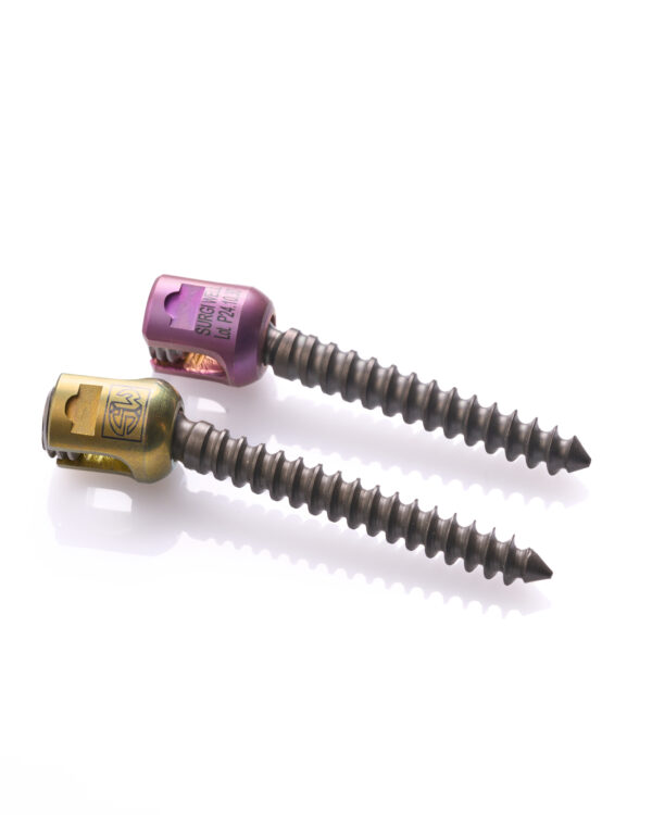 Poly Axile Screw