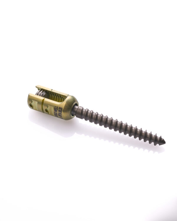 Reduction screw